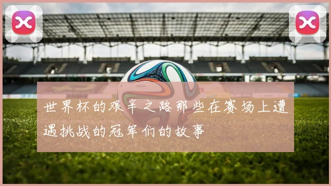 世界杯的艰辛之路那些在赛场上遭遇挑战的冠军们的故事