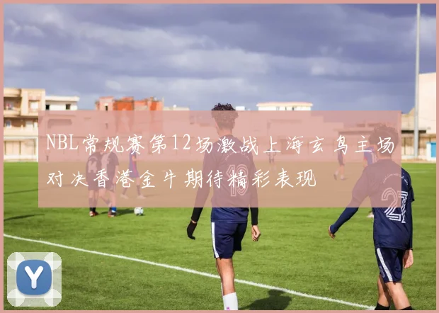 NBL常规赛第12场激战上海玄鸟主场对决香港金牛期待精彩表现