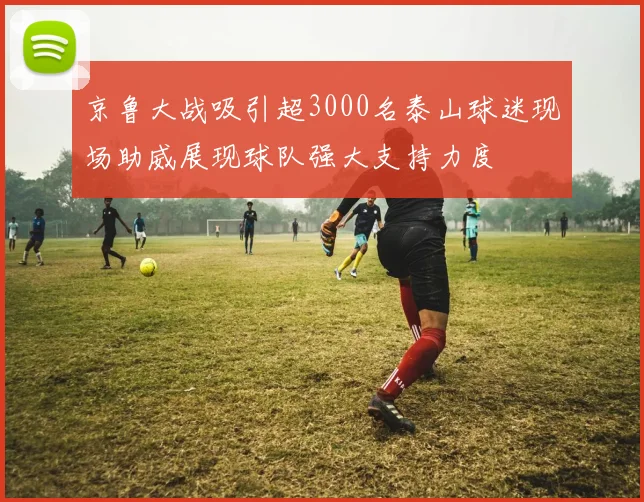 京鲁大战吸引超3000名泰山球迷现场助威展现球队强大支持力度