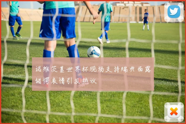 诺维茨基世界杯现场支持瑞典面露错愕表情引发热议