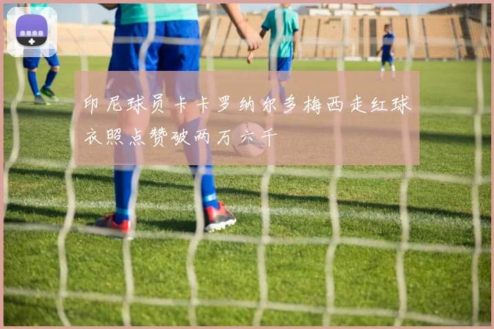 印尼球员卡卡罗纳尔多梅西走红球衣照点赞破两万六千